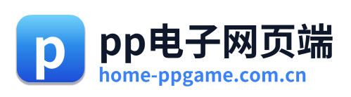 pp电子网页端 Logo